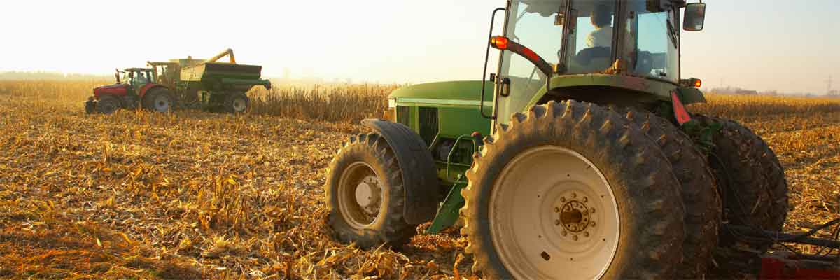 Bulk Bags for Agriculture